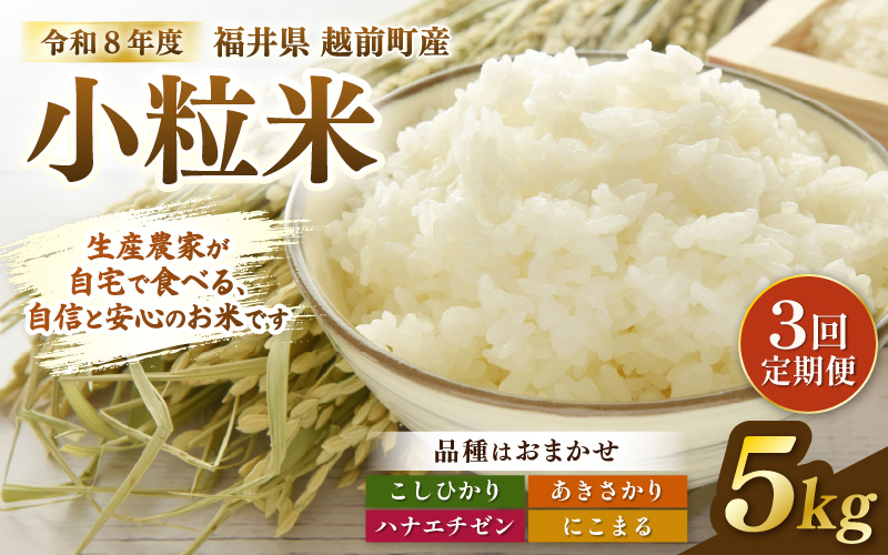 【先行予約】定期便≪3ケ月≫令和8年産 若干小粒米 5kg×3回 計15kg  福井県越前町産 コシヒカリ・ハナエチゼン・あきさかり・にこまるのいずれか1品種 【白米】 小粒規格米【2026年10月中