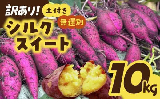 【訳あり】土付きさつまいも シルクスイート 10kg 茨城県ひたちなか市産  |  訳あり 採れたて 新物 シルクスイート しるくすいーと・SS～Lサイズ混合 さつまいも 茨城県 サツマイモ 生芋 ほくほく 土付き 焼き芋　茨城県ひたちなか市