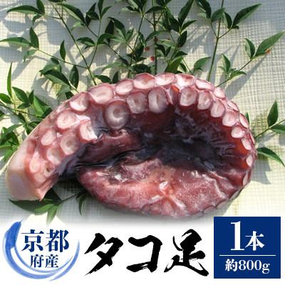 ふるさと納税 与謝野町 京都府産　タコ足　1本(冷凍:鮮度抜群真空パック)【共通返礼品】