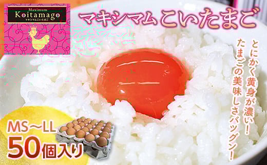 【TVで話題沸騰！】とにかく黄身が濃いたまご「マキシマムこいたまご」50個入り 伊達市 福島県 国産 MS～LLサイズ 養鶏場直送 卵 たまご 玉子 生卵 鶏卵   ゆで卵 たまご焼き 目玉焼き F20C-275
