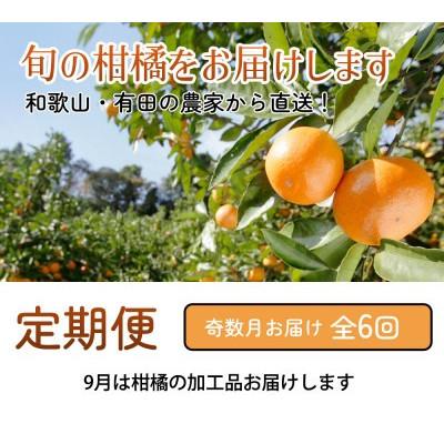 ふるさと納税 広川町 【発送月固定定期便】厳選 柑橘定期便S(奇数月)全6回 |  | 01