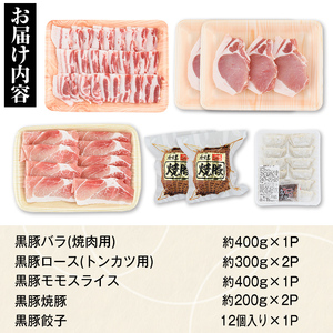 【B02092】特選黒豚バラエティセット(約1.6kg)・黒豚焼豚2個付き！バラ肉(焼肉用)、黒豚ロース(トンカツ用)、黒豚モモ、黒豚焼豚、黒豚餃子のセット 鹿児島 国産 九州産 黒豚 豚肉 お肉 焼