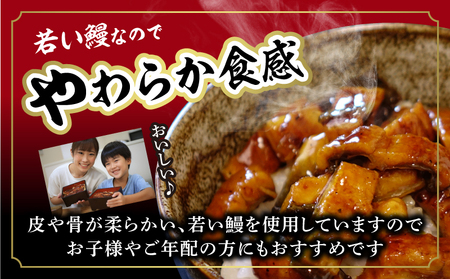 【土用の丑用までにお届け】一色産うなぎキザミ(50g×6パック)セット 鰻 ウナギ うなぎ 蒲焼 国産 うなぎ蒲焼 タレ付き たれ 国産うなぎ 蒲焼き うな丼 丑の日 土用の丑の日・I041-13-c