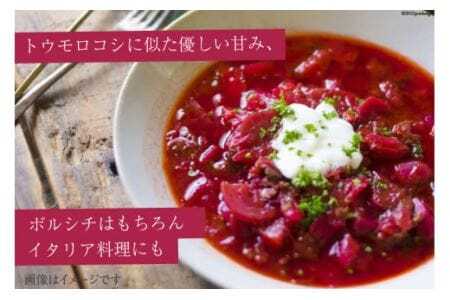 野菜 ビーツ レトルト 200g 6袋 計1.2kg