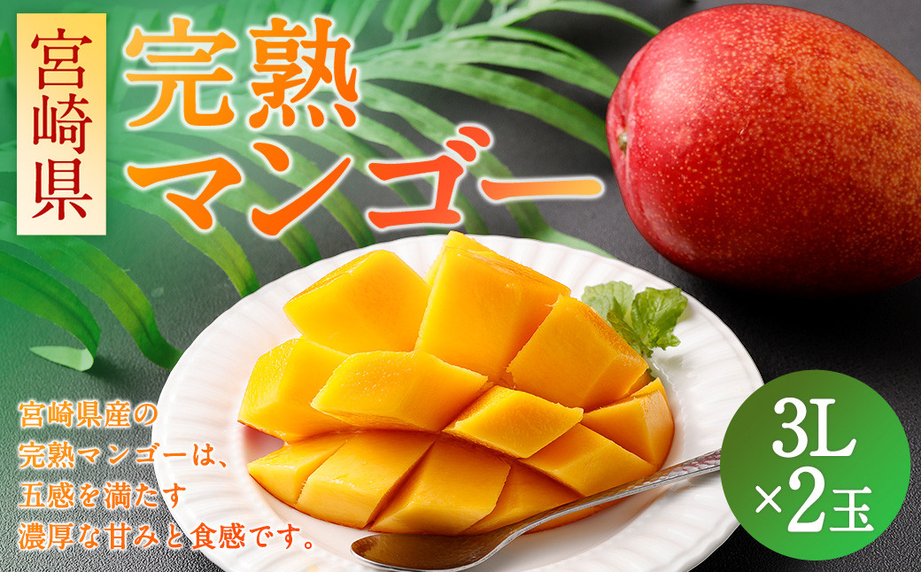 
                  ＼7月15日受付終了!!／＜宮崎県 完熟マンゴー3L×2玉 900g＞ マンゴー 完熟 果物 くだもの フルーツ 高鍋町
                