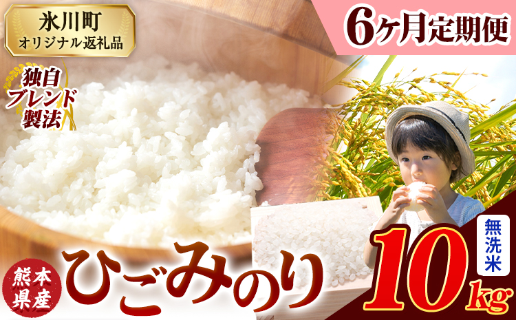 【6ヶ月定期便】ひごみのり 無洗米 熊本県産 ブレンド米 10kg 熊本県産 ふるさと納税  精米 米 こめ ふるさとのうぜい コメ お米 おこめ《お申込み翌月から出荷》