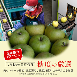 りんご 【1月発送】 糖度13度以上 贈答用 王林 約 5kg 【 弘前市産 青森りんご 】