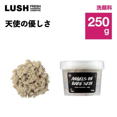 
            LUSH (ラッシュ)洗顔料　天使の優しさ 250g【1640986】
          