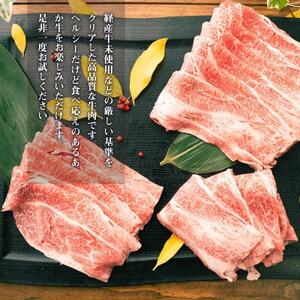 GI認証取得 くまもとあか牛 すき焼き用切り落し 合計600g(益城町)【配送不可地域：離島】【1647287】