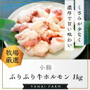 【ふるさと納税】〈口どけなめらか〉梁井 ぷりぷりホルモン 1kg(小腸)【コラーゲン 牛もつ 小腸 ぷりぷり 弾力 焼肉 鍋 もつ鍋 味噌煮込み 小分け パック】 A5-R081008