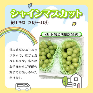 船橋産フルーツ定期便（3品目）　梨 豊水 シャインマスカット イチゴ エコチョク