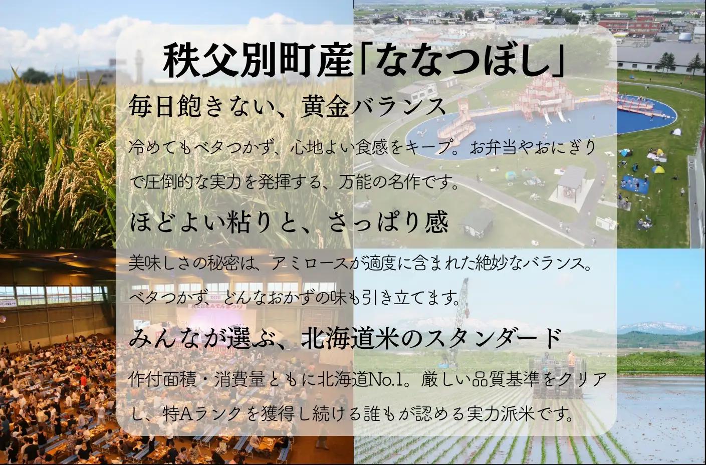 【新米予約受付中】令和8年産 無洗米ななつぼし5㎏＆無洗米ゆめぴりか5㎏【R8SD2】
