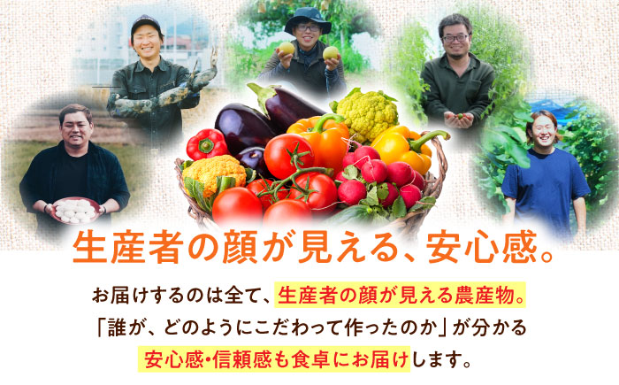 【全6回定期便】生産者の顔が見えるから安心して食べられる！毎回ちがう旬の農産物定期便　愛媛県大洲市/大洲市青年農業者協議会 [AGBL001]サラダ カレー トマト 料理 収穫 ダイエット ヘルシー 