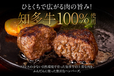 知多牛100％手作りハンバーグ　120g×10個入り 国産牛 牛肉 ハンバーグ 惣菜 肉汁たっぷり ブランド牛 グルメ 冷凍 簡単調理 煮込みハンバーグ デミグラスハンバーグ お取り寄せ 子供 人気 