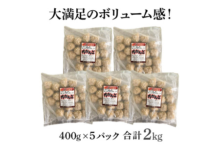 ブランド豚 美ら島あぐー 豚入りミートボール 合計2.0kg(400g×5パック)