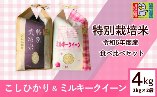 特別栽培米 R6年度産 栽培期間中 農薬化学 肥料不使用  コシヒカリ / ミルキークイーン 各2㎏づつ 食べ比べセット | 4kg 食べ比べ 新米 おいしい お米 特別 栽培 米 無農薬 化学肥料不使用 新米 r6 2024年 r6年度産 白米 精米 埼玉県 東松山市