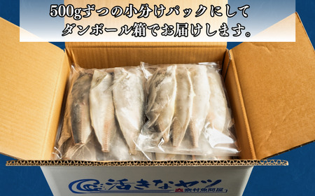 【 訳あり 】 アジフィーレ 3kg アジ
