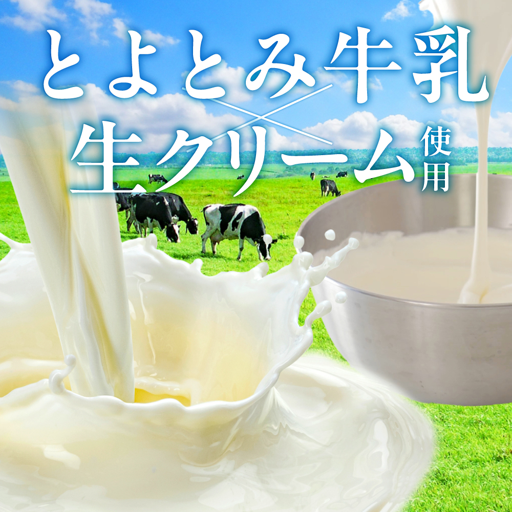生ソフトクリーム【カフェオレ＆ミルク】 計10個 tt013-013