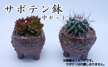 眞名焼 サボテン鉢 中サイズ2個 丸型 角型ペア　｜鳥取 岩美 鉢 丸型 角型【71013】