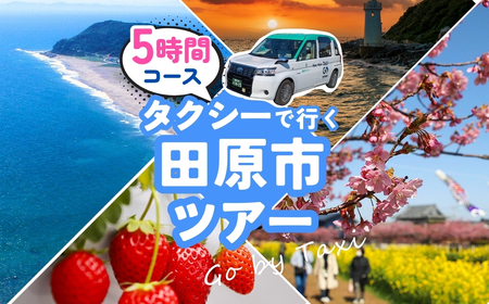 中型タクシーで田原市観光プラン 5時間コース 観光 旅行 タクシー いちご狩り 岬 灯台 菜の花 菜の花祭り 田原市 渥美半島 愛知県