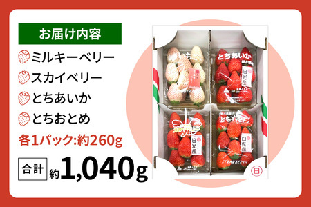 [2026年1月上旬より順次発送] 4種類の「完熟いちご」 食べ比べ！ Bセット 260g×4パック 日光の自然が育むいちご｜先行予約 期間限定 イチゴ 苺 フルーツ とちおとめ とちあいか スカイベ