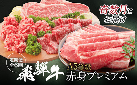 【定期便 全6回】飛騨牛 A5等級 赤身 約2kg｜ 牛肉 定期便 HF114