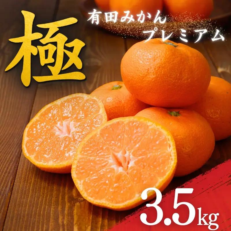 みかん 極 有田みかん プレミアム 約3.5kg【光センサー 高糖度選別品】【nuk168C】 