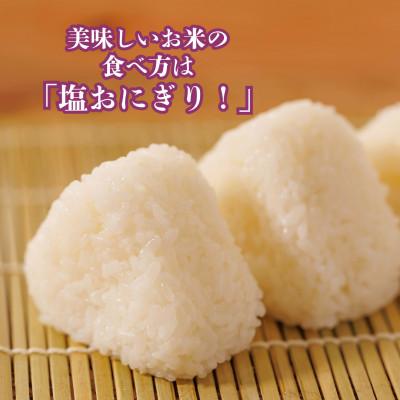 ふるさと納税 南丹市 【令和7年産米】京都府産こしひかり10kg(5kg×2袋)農家直送 出荷日に合わせて精米 |  | 02