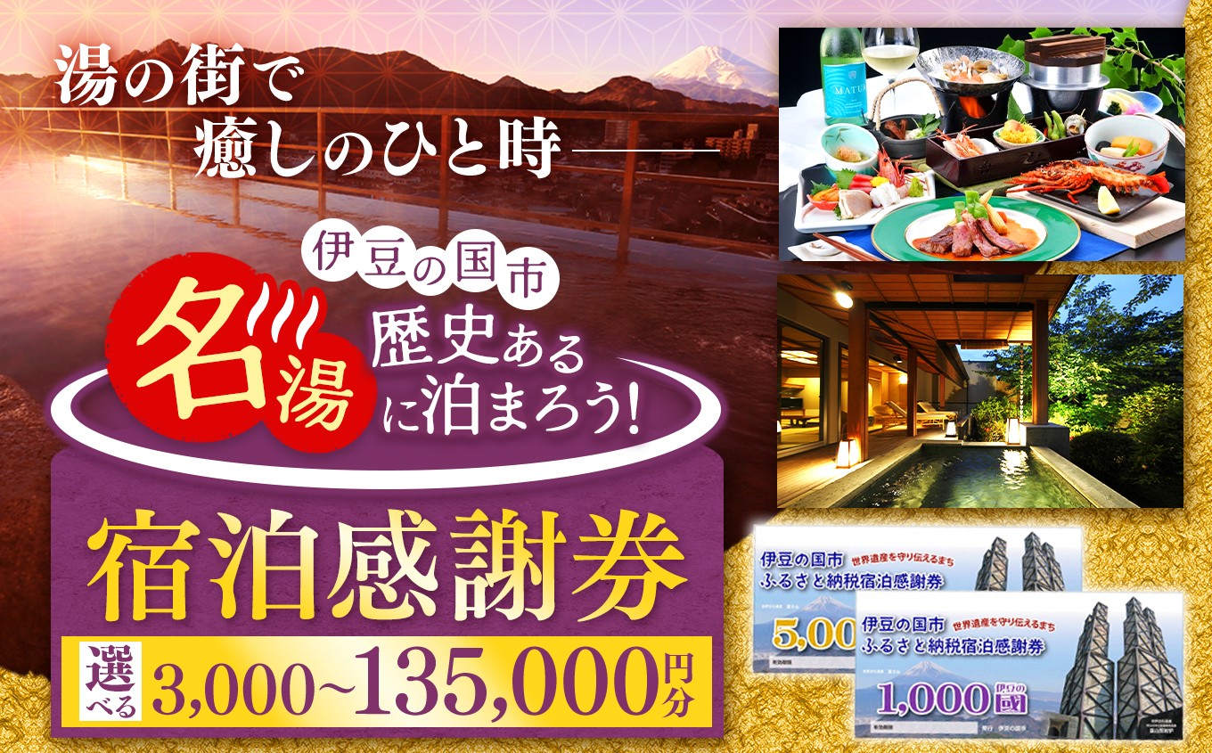 
伊豆の国市宿泊感謝券
