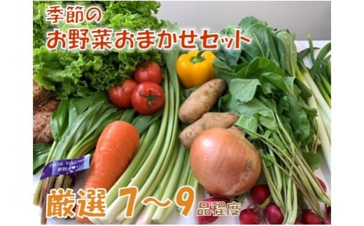 
季節のお野菜おまかせセット
