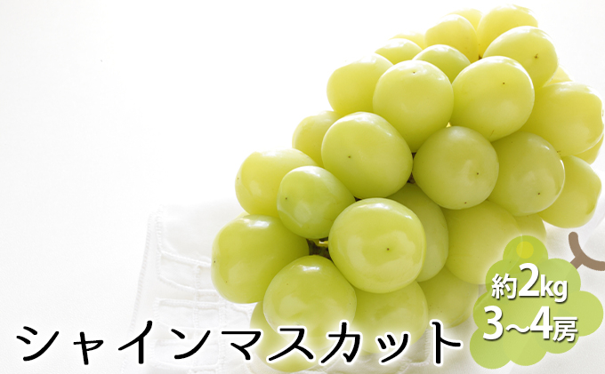 
[№5729-0419]シャインマスカット 約2kg（3～4房）
