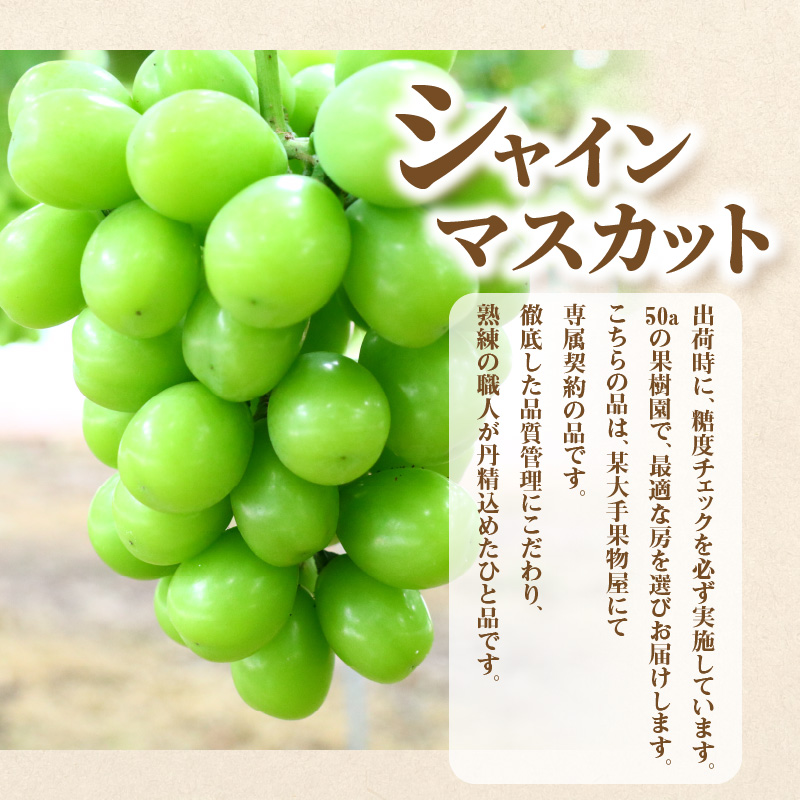 【ふるさと納税】【配送不可地域：北海道・沖縄県・離島】産地厳選三豊のフルーツ３回定期便E  秋 旬