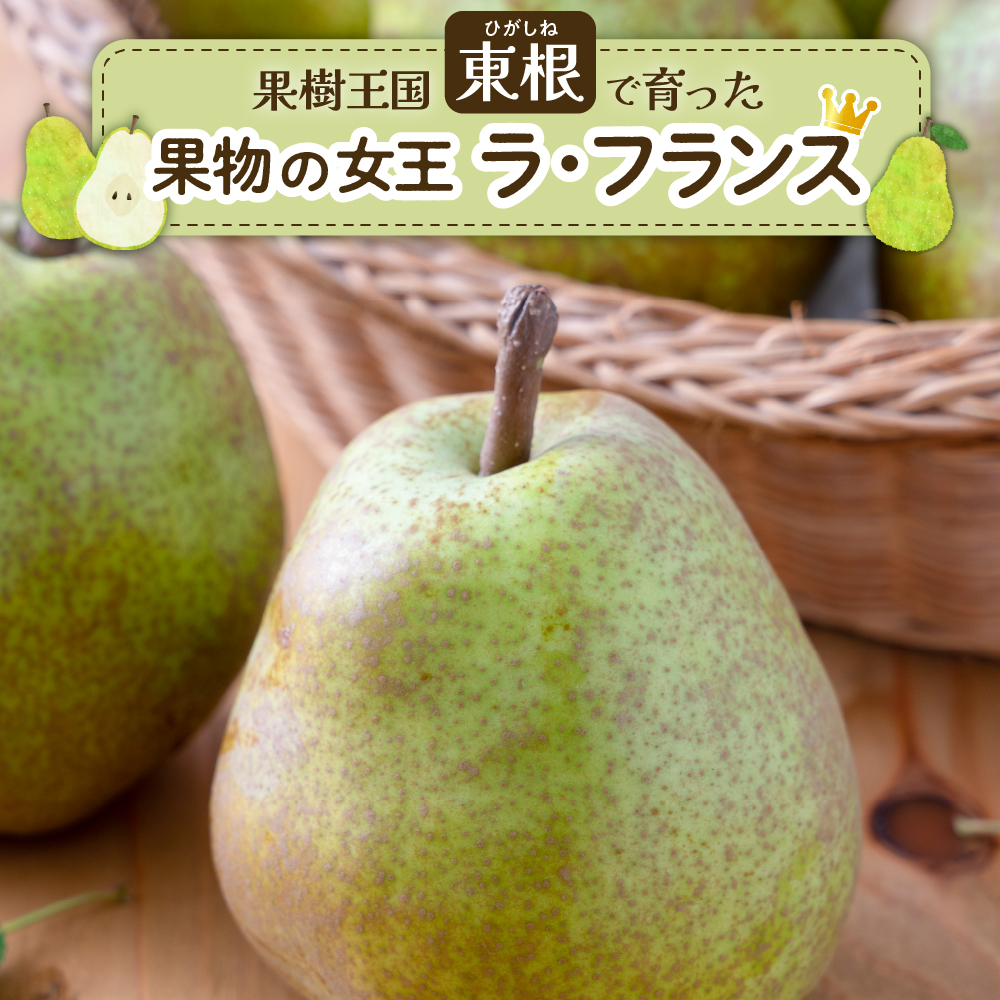 【2025年産 先行予約】 洋なし「ラ・フランス」2kg 山形県 東根市 JA提供 hi003-132-1