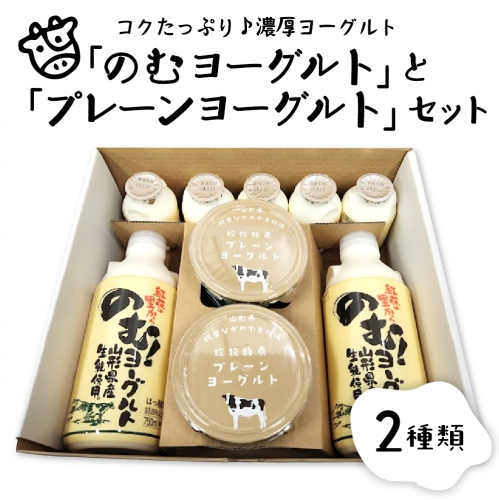 のむヨーグルトとプレーンヨーグルトセット（750ml×2本、150ml×5本、405g×2個）