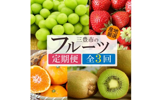 定期便 全3回 シャインマスカット さぬき姫 旬のフルーツ 温州みかん [ フルーツ定期便 果物定期便 定期配送 国産フルーツ 旬フルーツ 産地直送 食べ比べ 家庭用 ギフト お取り寄せ フルーツセット 香川県 三豊市 温州 みかん ]