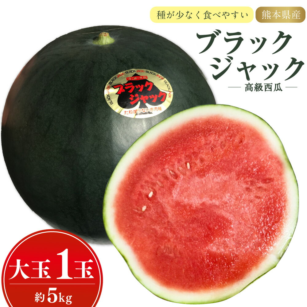 【ふるさと納税】熊本県産 すいか ブラックジャック（高級西瓜）約5キロ 1玉 すいか スイカ 黒皮 フルーツ 果物 くだもの 果実 常温発送 九州 熊本県 送料無料 【2025年5月下旬発送開始】