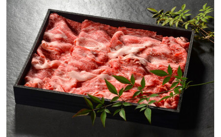 鳥取和牛 切り落とし 600g 切り落とし 牛肉 国産 和牛 黒毛和牛 肉 ブランド牛 国産牛 鳥取県 倉吉市 KR308