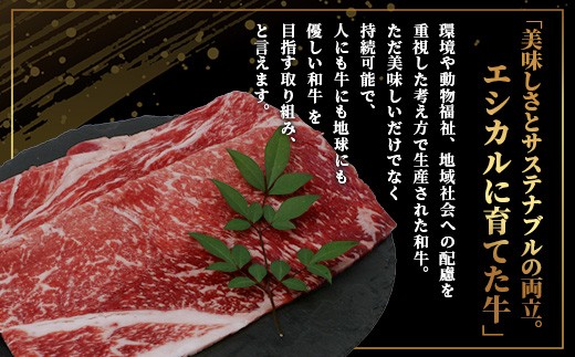 くまもとあか牛 モモ薄切り 600g