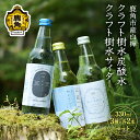 【ふるさと納税】秋田県鹿角産白樺 クラフト樹水 炭酸水 ・ サイダー セット 330ml × 6本入（3種×各2本入り） 樹水 ミネラル 炭酸 さわやか 瓶 飲料 ソーダ 炭酸 ご当地割もの お取り寄せ ギフト お中元 お歳暮 ふるさと 返礼品 鹿角市 かづの 秋田 送料無料 【西村林業】