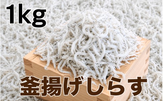 釜揚げしらす1kg(500g×2パック) / シラス 厳選 小分け 冷蔵便【dig012A】
