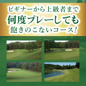 浅見ゴルフ倶楽部 利用券 3,000円分【名匠 浅見緑蔵設計 ゴルフ チケット  体験 券  トーナメントコース クラブハウス 茨城県 水戸市 】(OA-1)