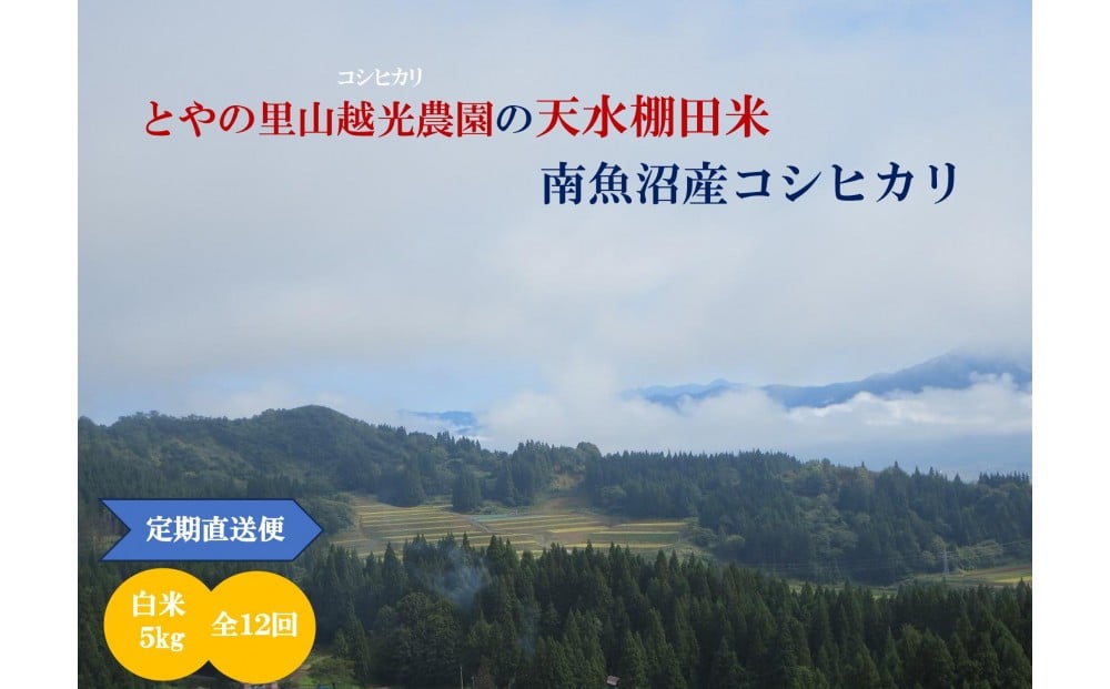
            【令和7年産新米予約】【定期便】とやの里山越光農園「天水棚田米」南魚沼塩沢産コシヒカリ　精米5kgx全12回【2025年12月下旬より順次発送予定】
          