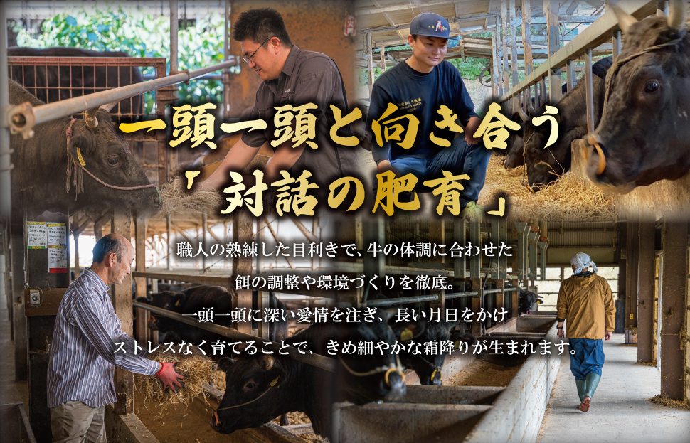 松阪牛 厳選 切り落とし 250g A5ランク A5等級 国産牛 A5 牛肉 使いやすい ブランド牛 小間切れ グルメ 冷凍 お取り寄せ 便利 MA4