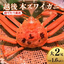 【ふるさと納税】〈期間限定〉本ズワイガニ800g×2杯 計1.6kg 姿 浜茹で 鮮度が命！茹でたて直送 日本海 磯貝鮮魚店 ずわいがに かに 蟹 新潟県 糸魚川産 越後産 高級ガニ 厳選 釜茹 お取り寄せ ギフト カニみそ カニ味噌 ズワイガニ 姿 冷蔵 【能登半島地震復興支援】