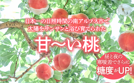 ＜25年発送先行予約＞南アルプス市産 桃約2キロ（7玉～10玉）クール便発送 ALPAG006