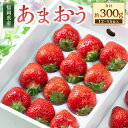 【ふるさと納税】福岡県産 あまおう ギフト箱 12～15粒（約300g）いちご イチゴ 苺 ベリー 果物 くだもの フルーツ 冷蔵 国産 九州 福岡県 岡垣町 送料無料【2024年11月下旬～2025年3月下旬発送予定】