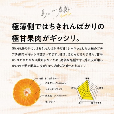 【訳あり】島のね農園の甘平(4kg)【KB01600】【1419486】
