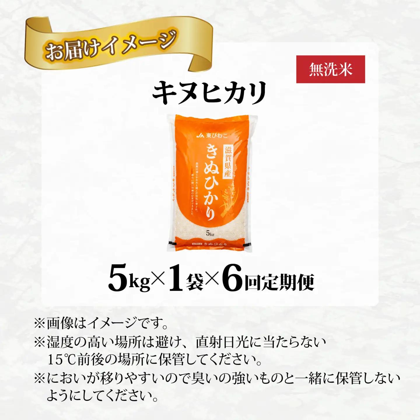 【先行予約】【令和8年産新米早期予約 毎月定期配送・計6回】 キヌヒカリ 5kg × 6回　おいしい多賀のお米 [G-00404]