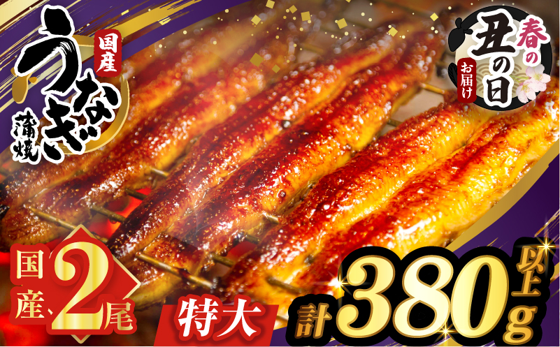 【春の丑の日までにお届け!!】うなぎ蒲焼特大2尾(さんしょう・たれ付き)計380g以上 鰻 魚 魚介 加工品 国産_T026-0061-US1