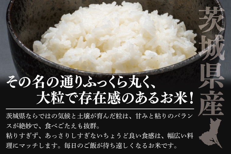 【数量限定】令和7年茨城県産ふくまる10kg【お米 ごはん ふくまる おにぎり ごはん 茨城県 水戸市】(NU-5)